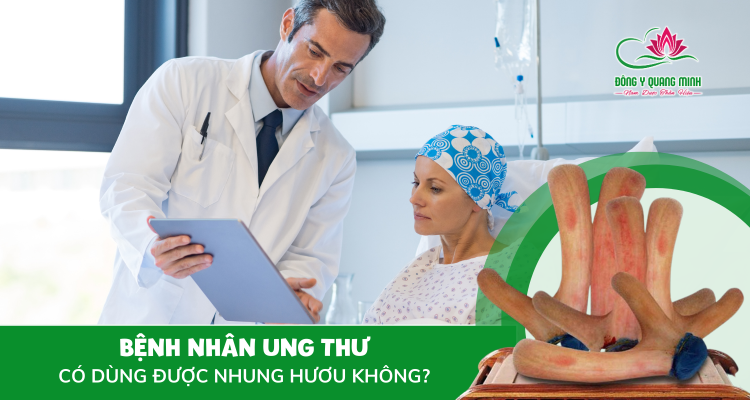 Bệnh Nhân Ung Thư Có Dùng Nhung Hươu Được Không?