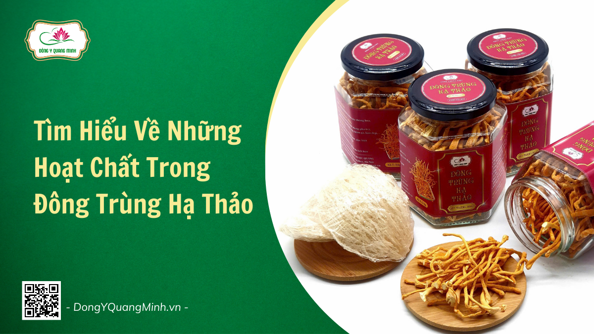 Tìm Hiểu Về Những Hoạt Chất Trong Đông Trùng Hạ Thảo