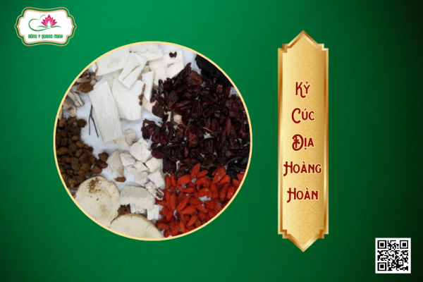 Kỷ Cúc Địa Hoàng Hoàn