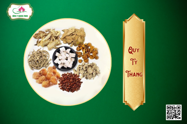 Quy Tỳ Thang – Phương Thuốc Cổ 1000 Năm Tuổi