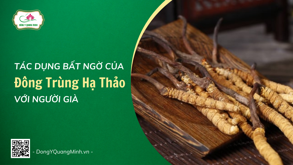 Những Tác Dụng Bất Ngờ Của Đông Trùng Hạ Thảo Với Người Già